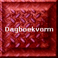 Dagboekvorm